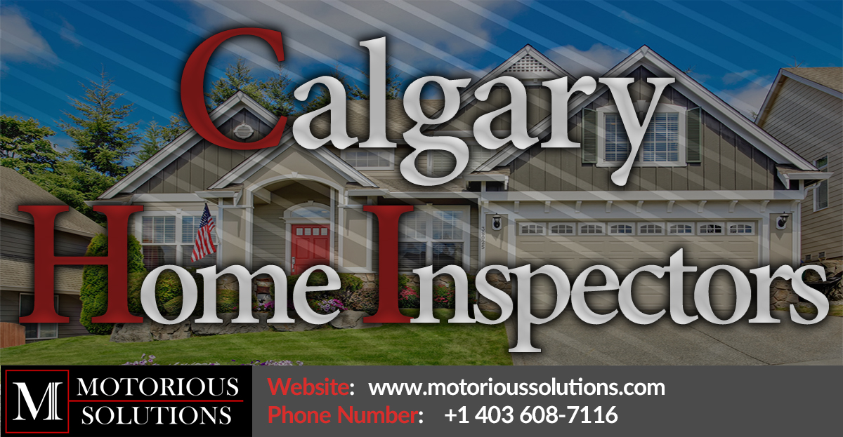 What is a Luminometer used for? Motorious Solutions